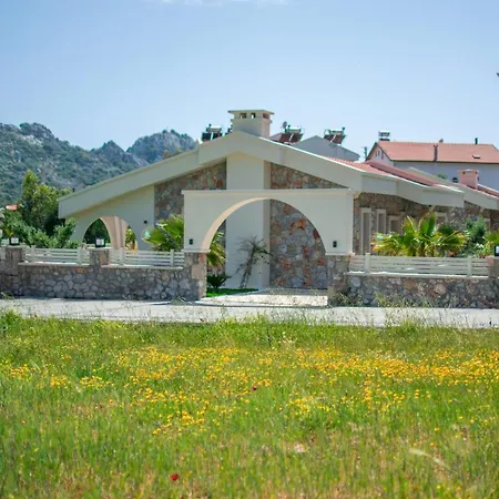 Penidavizyon